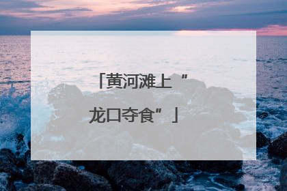黄河滩上“龙口夺食”