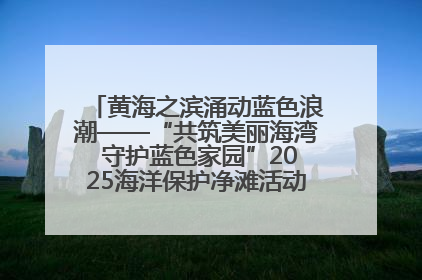 黄海之滨涌动蓝色浪潮——“共筑美丽海湾 守护蓝色家园”2025海洋保护净滩活动暨“美丽江苏—江河湖海青蓝行”海洋篇在连云港举行
