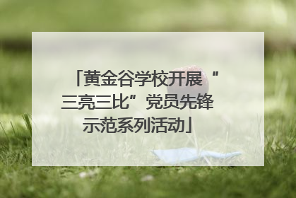 黄金谷学校开展“三亮三比”党员先锋示范系列活动