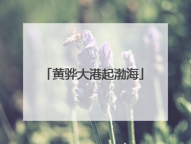 黄骅大港起渤海