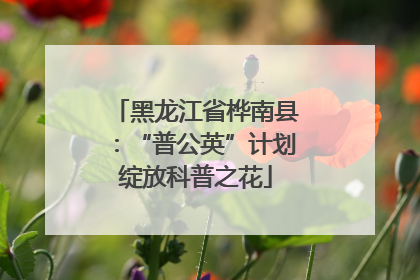 黑龙江省桦南县：“普公英”计划绽放科普之花