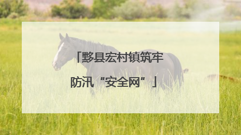 黟县宏村镇筑牢防汛“安全网”
