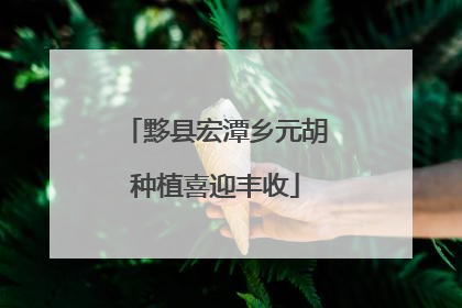 黟县宏潭乡元胡种植喜迎丰收