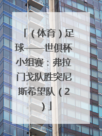 （体育）足球——世俱杯小组赛：弗拉门戈队胜突尼斯希望队（2）