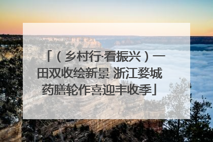 （乡村行·看振兴）一田双收绘新景 浙江婺城药膳轮作喜迎丰收季
