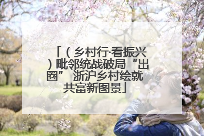 （乡村行·看振兴）毗邻统战破局“出圈” 浙沪乡村绘就共富新图景