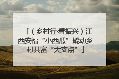 （乡村行·看振兴）江西安福“小西瓜”撬动乡村共富“大支点”