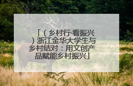 （乡村行·看振兴）浙江金华大学生与乡村结对：用文创产品赋能乡村振兴