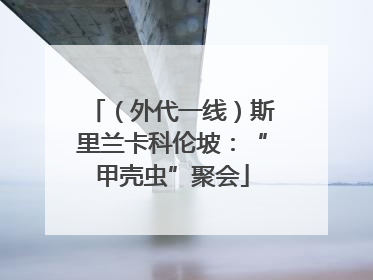 （外代一线）斯里兰卡科伦坡：“甲壳虫”聚会