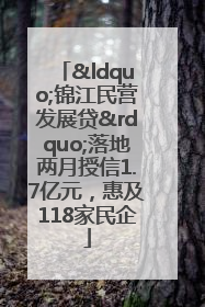“锦江民营发展贷”落地两月授信1.7亿元，惠及118家民企