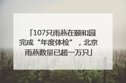 107只雨燕在颐和园完成“年度体检”，北京雨燕数量已超一万只