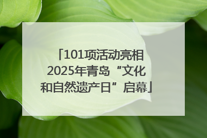 101项活动亮相 2025年青岛“文化和自然遗产日”启幕