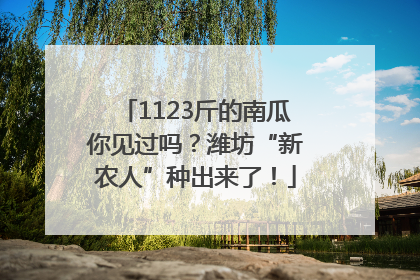 1123斤的南瓜你见过吗？潍坊“新农人”种出来了！