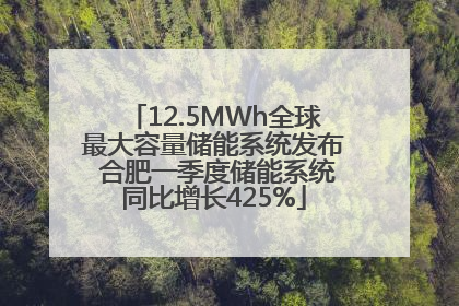 12.5MWh全球最大容量储能系统发布 合肥一季度储能系统同比增长425%