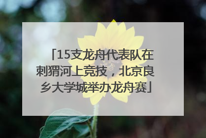 15支龙舟代表队在刺猬河上竞技，北京良乡大学城举办龙舟赛