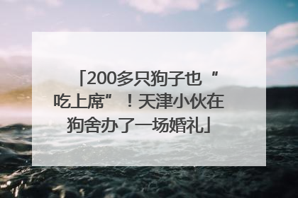 200多只狗子也“吃上席”！天津小伙在狗舍办了一场婚礼
