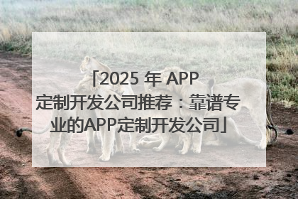 2025 年 APP 定制开发公司推荐：靠谱专业的APP定制开发公司