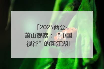 2025两会·萧山观察：“中国视谷”的新江湖