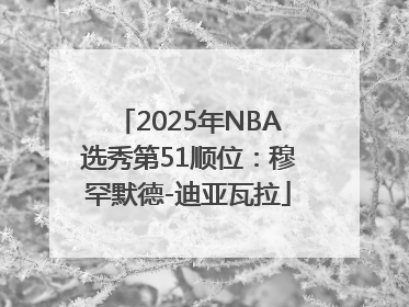2025年NBA选秀第51顺位：穆罕默德-迪亚瓦拉