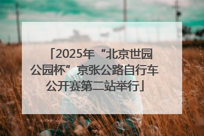 2025年“北京世园公园杯”京张公路自行车公开赛第二站举行