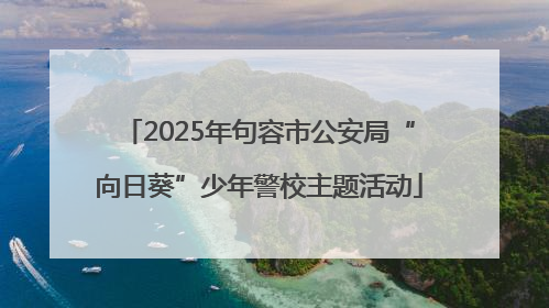2025年句容市公安局“向日葵”少年警校主题活动