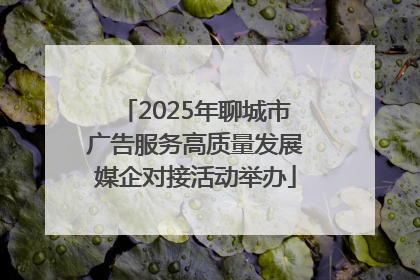 2025年聊城市广告服务高质量发展媒企对接活动举办
