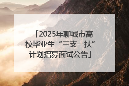 2025年聊城市高校毕业生“三支一扶”计划招募面试公告