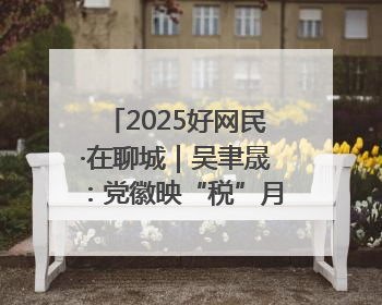 2025好网民·在聊城｜吴聿晟：党徽映“税”月 网播传政声