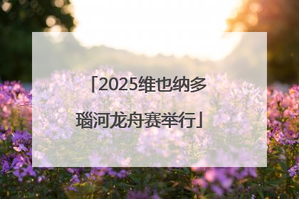 2025维也纳多瑙河龙舟赛举行