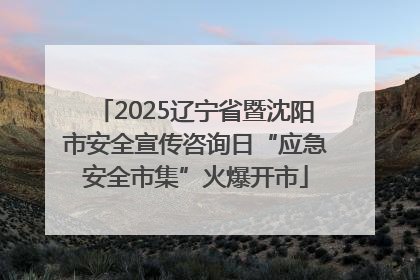 2025辽宁省暨沈阳市安全宣传咨询日“应急安全市集”火爆开市