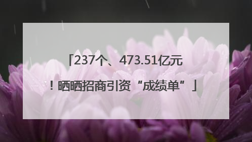 237个、473.51亿元！晒晒招商引资“成绩单”