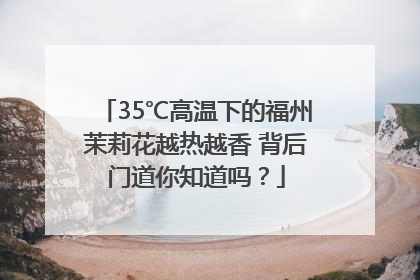 35℃高温下的福州茉莉花越热越香 背后门道你知道吗？
