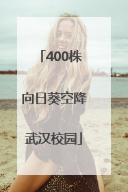 400株向日葵空降武汉校园