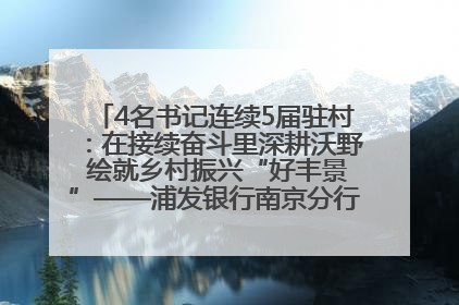 4名书记连续5届驻村：在接续奋斗里深耕沃野 绘就乡村振兴“好丰景”——浦发银行南京分行助力脱贫攻坚、帮促乡村振兴记事（二）