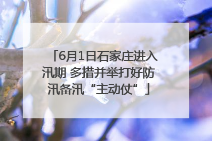 6月1日石家庄进入汛期 多措并举打好防汛备汛“主动仗”