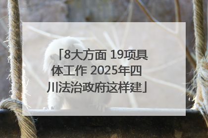 8大方面 19项具体工作 2025年四川法治政府这样建