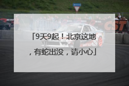 9天9起！北京这地，有蛇出没，请小心