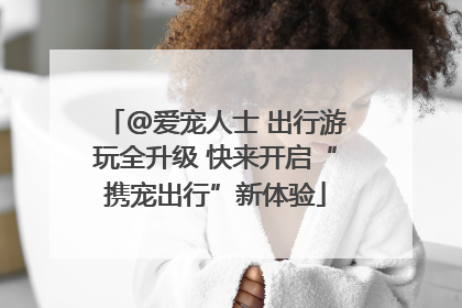 @爱宠人士 出行游玩全升级 快来开启“携宠出行”新体验