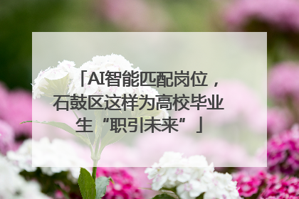 AI智能匹配岗位，石鼓区这样为高校毕业生“职引未来”
