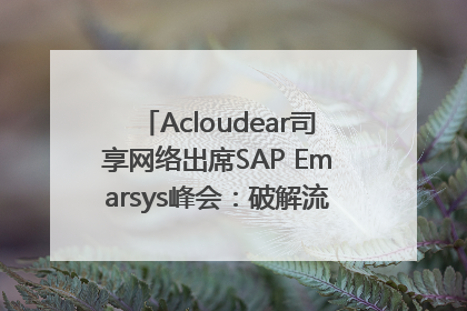 Acloudear司享网络出席SAP Emarsys峰会：破解流量困局，驱动精准增长
