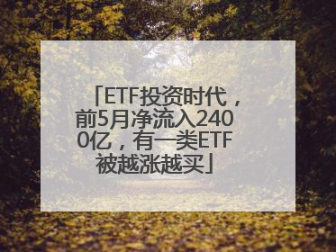 ETF投资时代，前5月净流入2400亿，有一类ETF被越涨越买