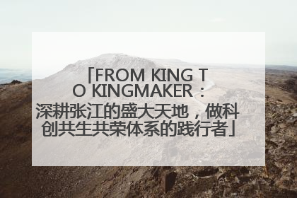 FROM KING TO KINGMAKER：深耕张江的盛大天地，做科创共生共荣体系的践行者