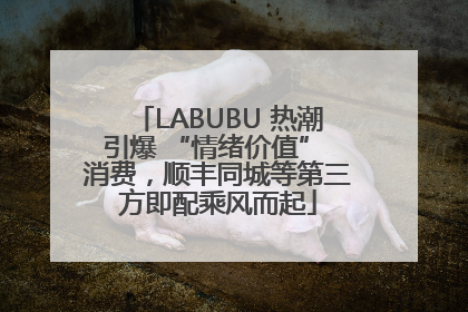 LABUBU 热潮引爆 “情绪价值” 消费，顺丰同城等第三方即配乘风而起